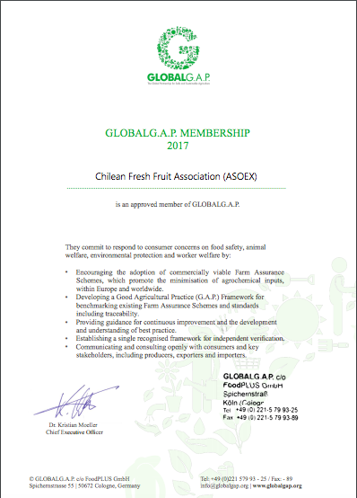 certificado chilegap