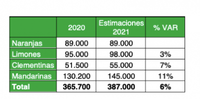 ESTIMACION