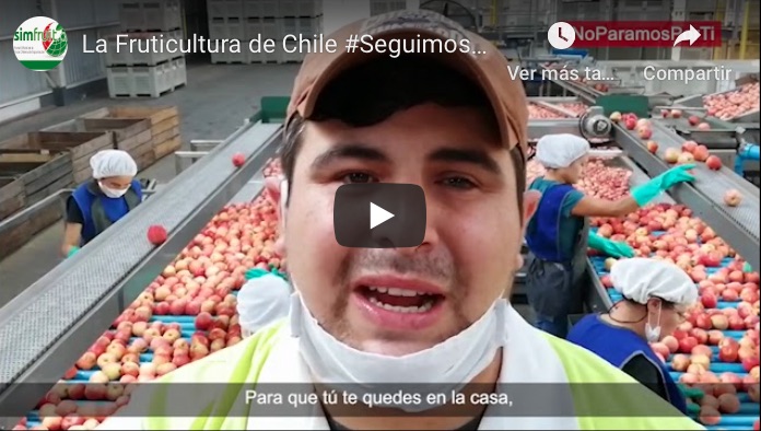 video-fruta