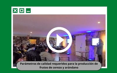 3-capacitacion