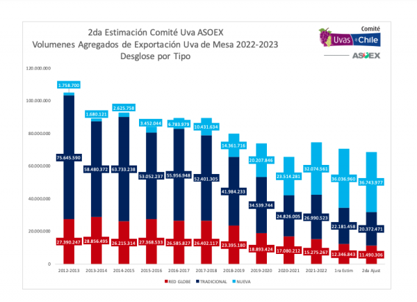 tipo-600x434