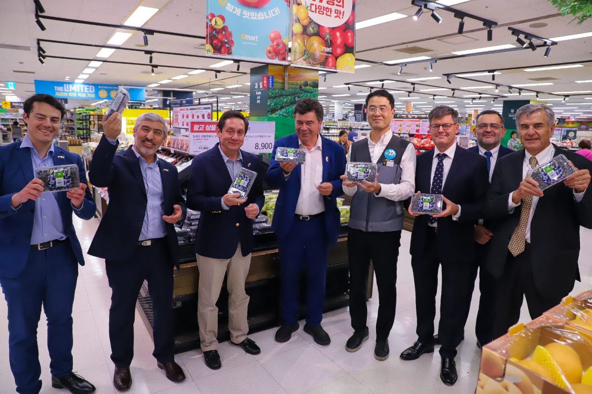 Supermercado-emart-1200x800