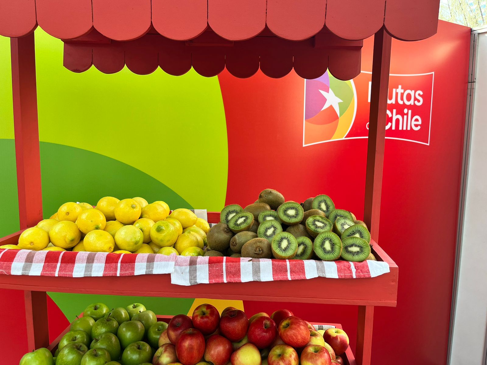 FRUTAS DE CHILE EMBAJADA