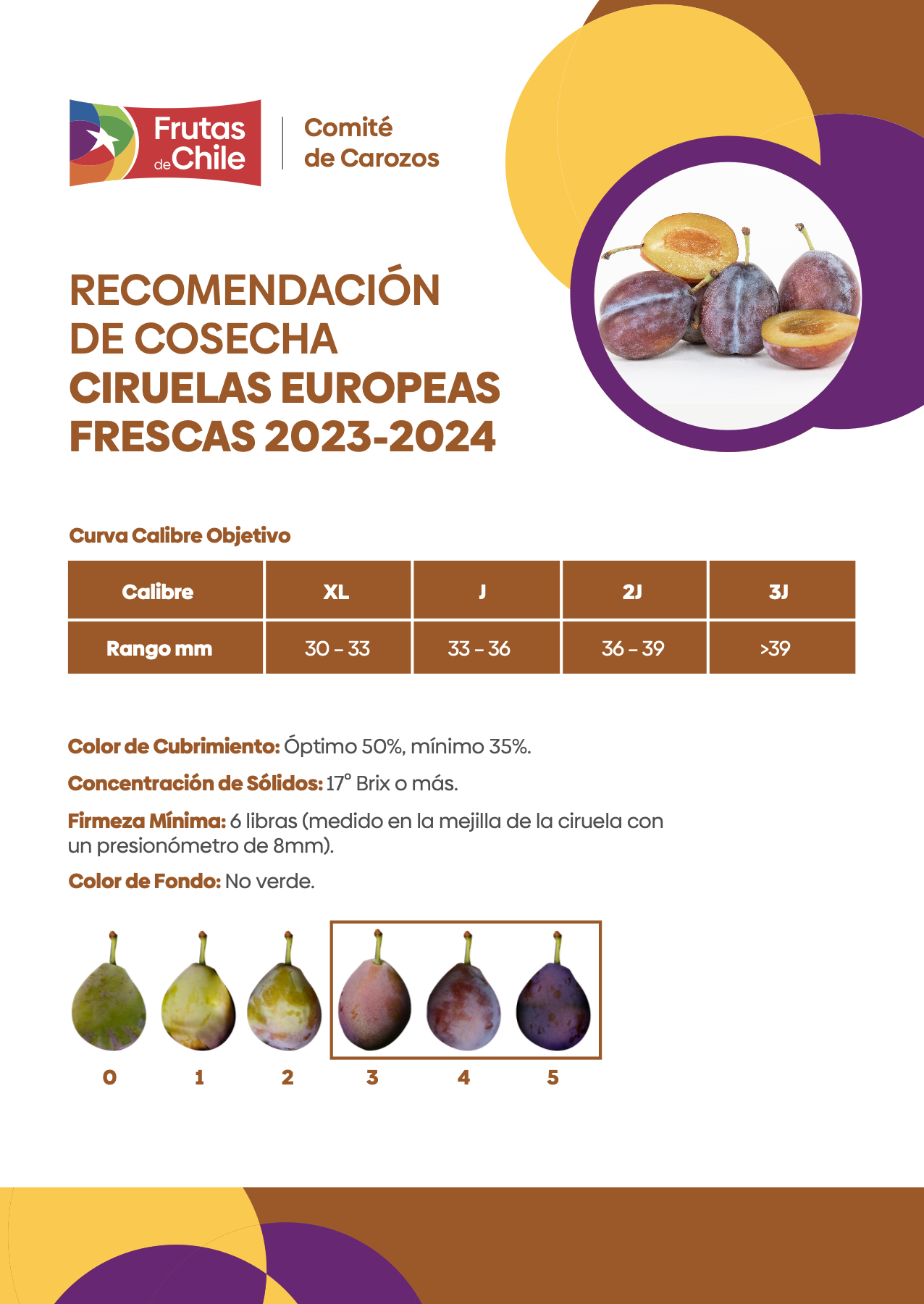 carozos