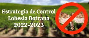 lobesialeft20222023