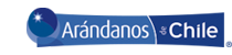 log arandanos