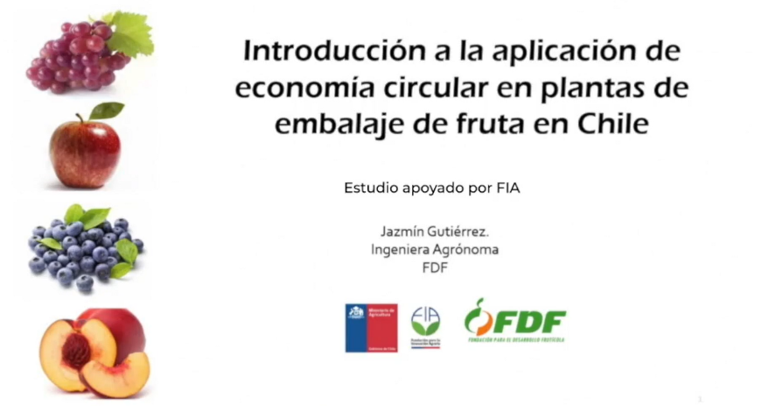 fdf economiacircular