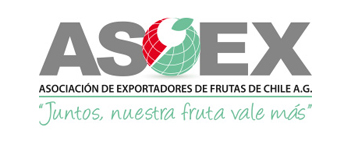 logo asoexweb